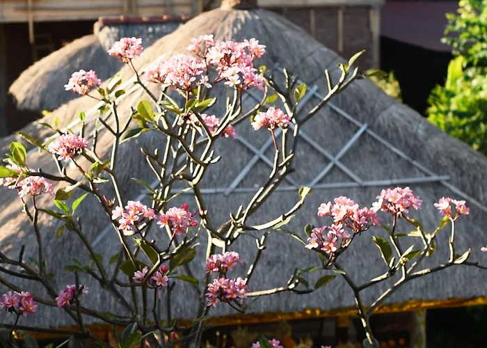 Manzelejepun & Pavilion Hotel 4*